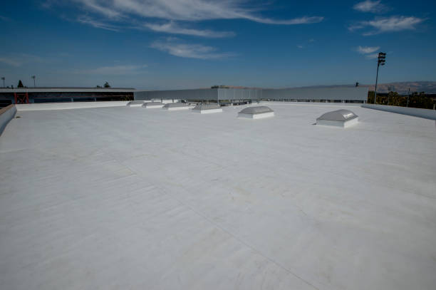 Best Roof Waterproofing  in Gilbert, IA